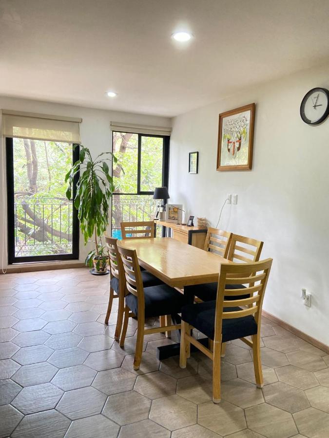 Apartment With Terrace Down Town Мехико Экстерьер фото